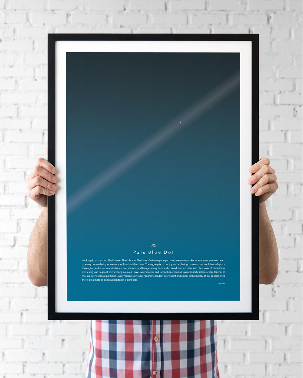 Pale Blue Dot Quote Poster